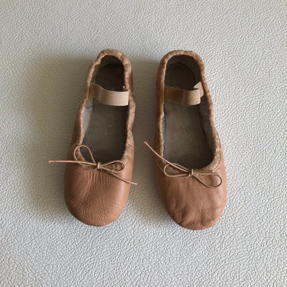 Pink Ballet Shoes